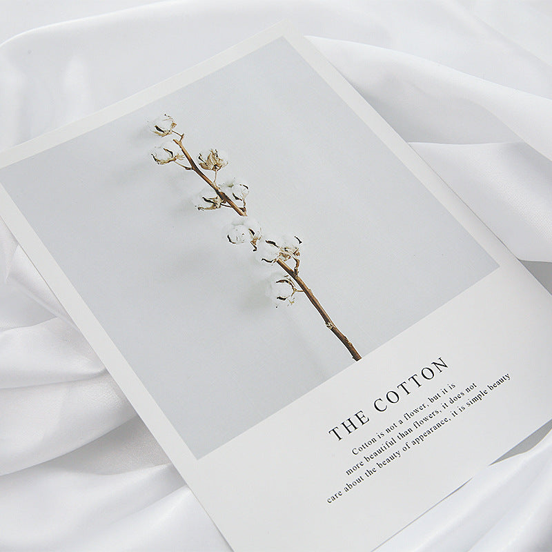VMIDirect Magazines Card Decoration with a minimalist design featuring a cotton branch on a white background