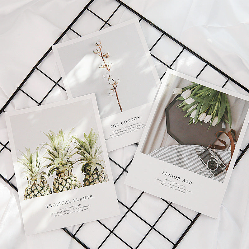 VMIDirect Magazines Card Decoration featuring botanical themes and photography for stylish interior design