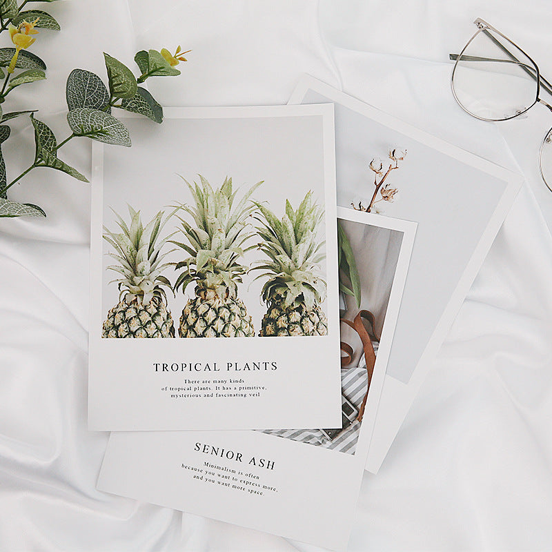 VMIDirect magazines card decoration featuring tropical plant designs and stylish layout