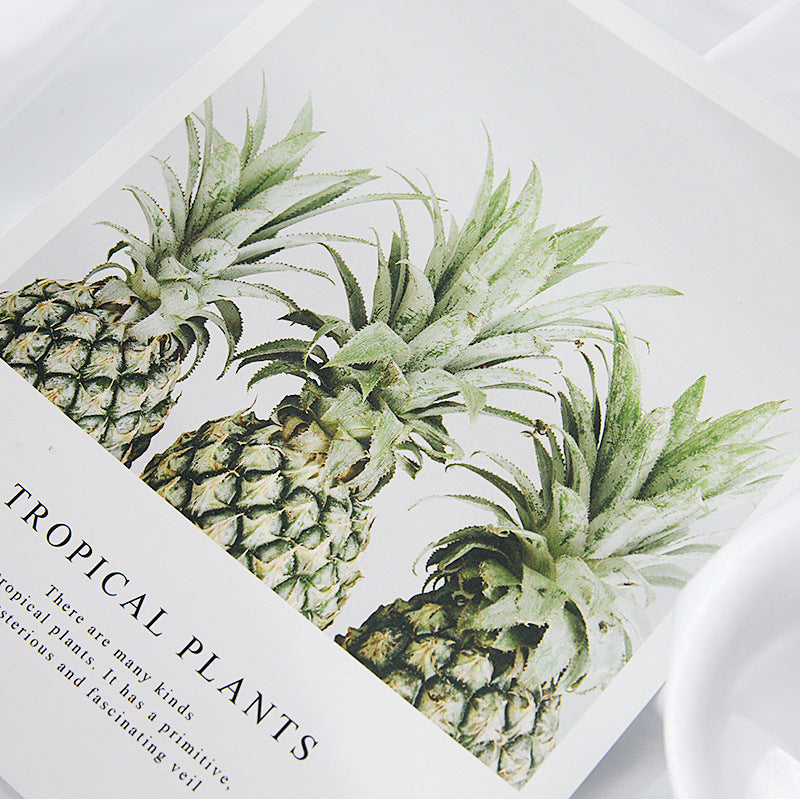 VMIDirect Magazines Card Decoration featuring tropical plants and pineapples for stylish display