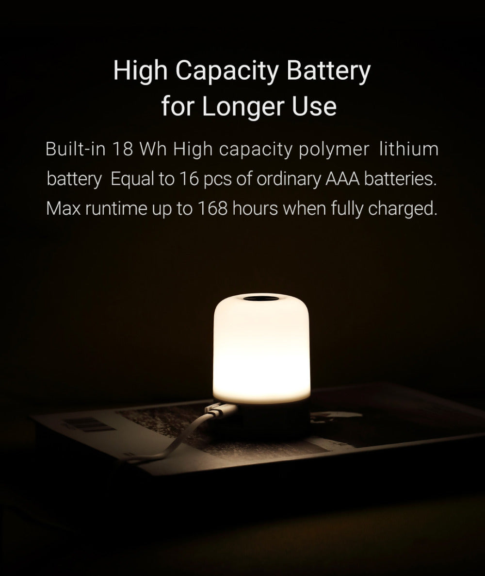 Portable Tourist Lamp with high capacity battery for up to 168 hours of use indoors or outdoors