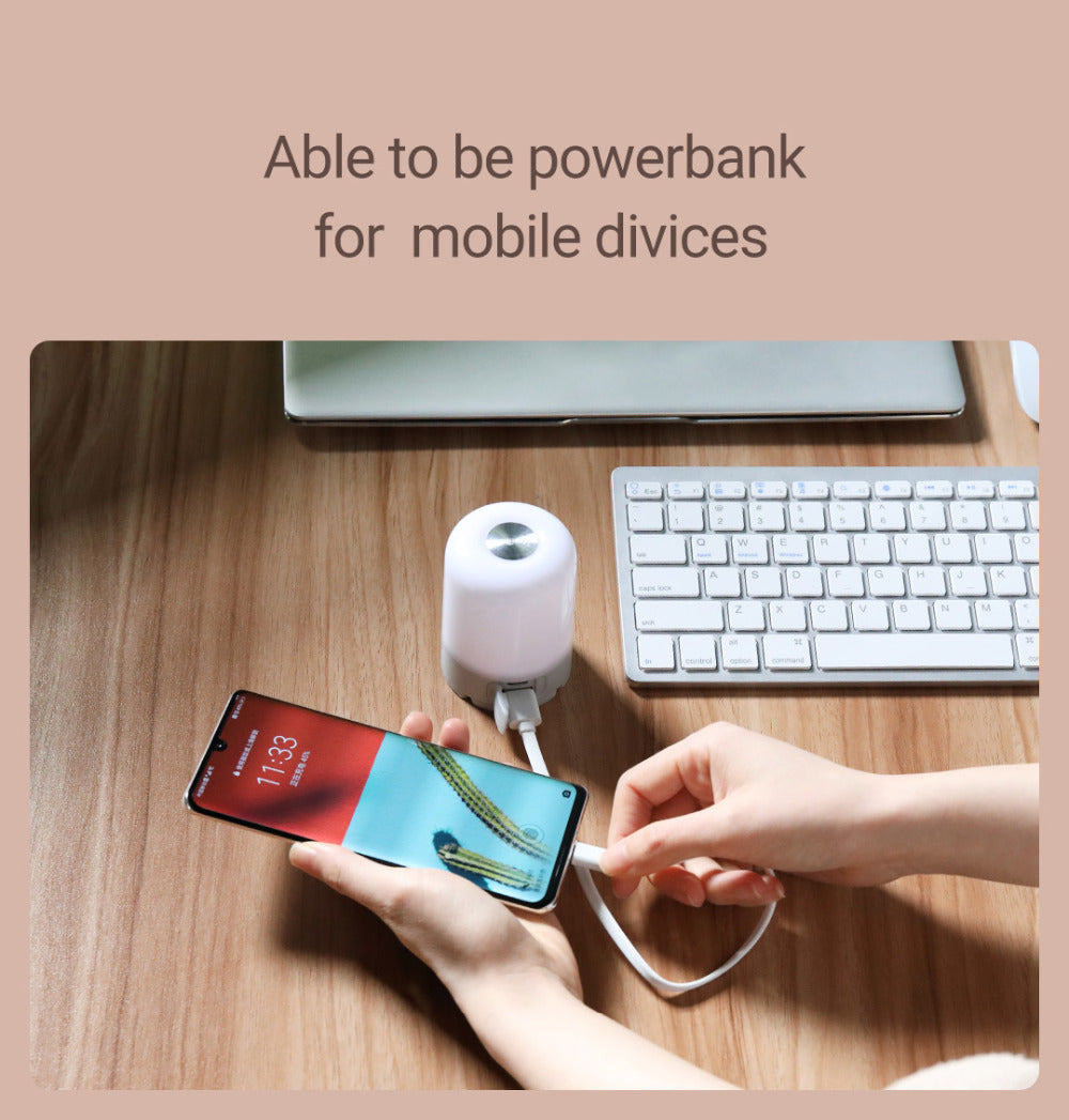 VMIDirect Portable Tourist Lamp with Powerbank Feature for Charging Mobile Devices