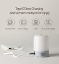 VMIDirect Portable Tourist Lamp with Type-C charging for versatile use outdoors