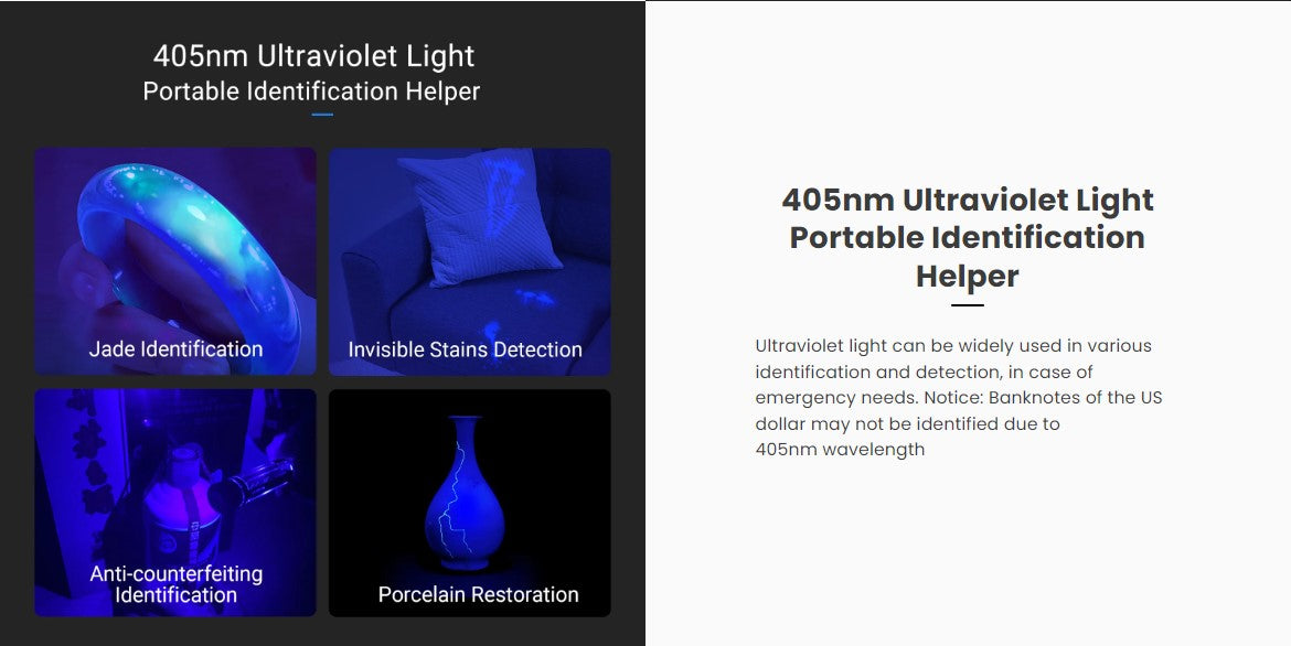 VMIDirect Keychain Flashlight with 405nm Ultraviolet Light for Identification and Stain Detection