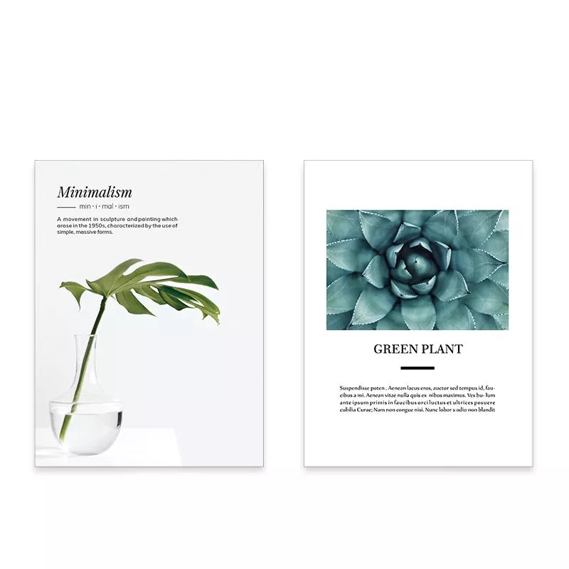 VMIDirect Photography Background Paper featuring minimalist green plant designs for creative photography setups