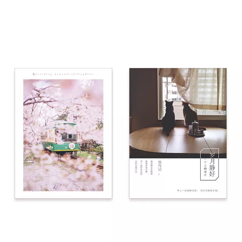 VMIDirect Photography Background Paper featuring floral and urban themes for creative photography setups