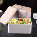 VMIDirect Portable Plastic Bento Lunch Box featuring a two-tier design with a variety of fresh food inside