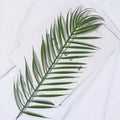 Realistic Simulation Artificial Green Plant Leaf on a White Surface for Home Decor