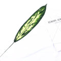 VMIDirect Simulation Artificial Green Plant Leaf for Home Decor and Studio Displays