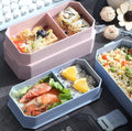 850ml Wheat Straw 2-Layer Bento Lunch Box with compartments for sushi, fruit, and rice dishes